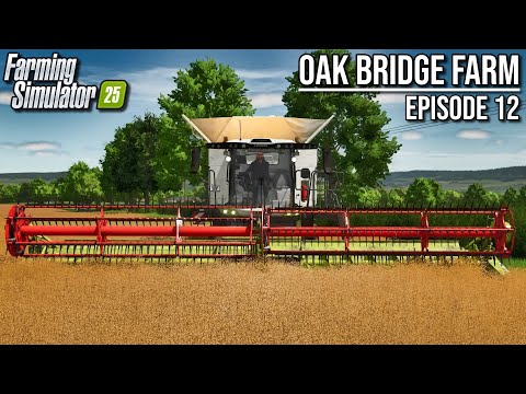 BIG Harvest Time on Oak Bridge! | Farming Simulator 25