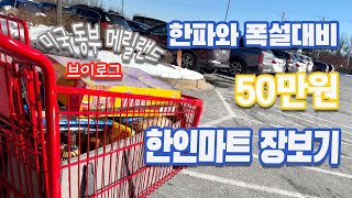 미국 일상 브이로그 / 50만원어치 한인마트 장보기 / 핫팟에서 몸보신 / 장보고 정리하고  콩나물밥