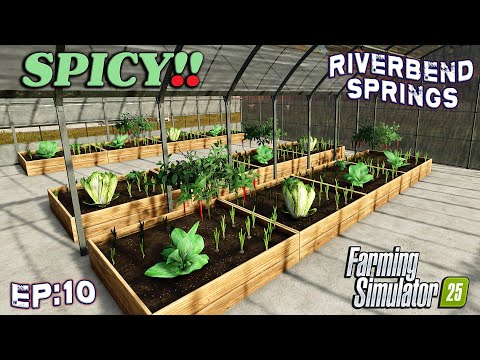 GETTING SPICY!! MINI DAIRY TIME! ON RIVERBEND SPRINGS? #10 | Farming Simulator 25.