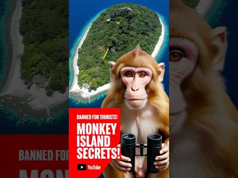 Why Tourists Are Banned from Morgan Island 🐒❌ #island #monkey #shorts