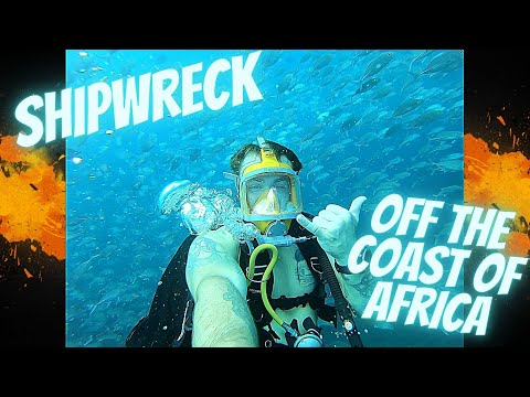 Exploring an UNDERWATER SHIPWRECK! || My Scuba Diving Adventure