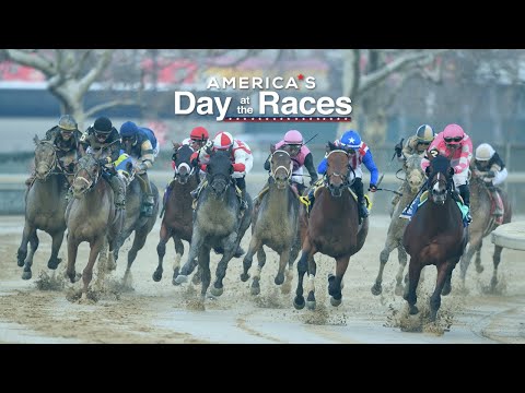 America's Day at the Races - November 10, 2024