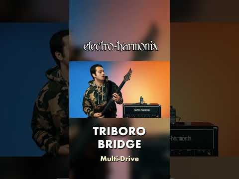 EHX Pico Triboro Bridge Multi-Drive Pedal Demo