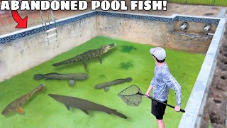 Saving Fish LIVING in ABANDONED POOL!