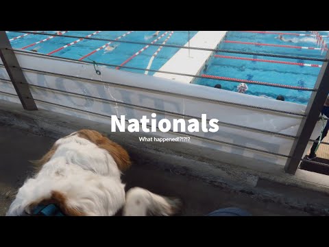 I CAN'T BELIEVE THIS HAPPENED AT NATIONALS!!?!? | NAIA Swim Nationals 2020