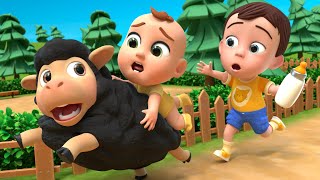 Baa Baa Black Sheep | Newborn Baby Songs & Nursery Rhymes