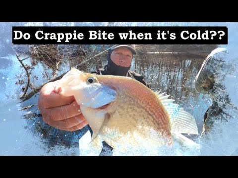 The SHOCKING Truth About Catching Crappie in the Cold