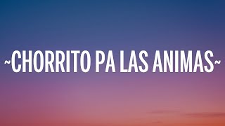 Feid - CHORRITO PA LAS ANIMAS (Letra/Lyrics)  1 Hour Version