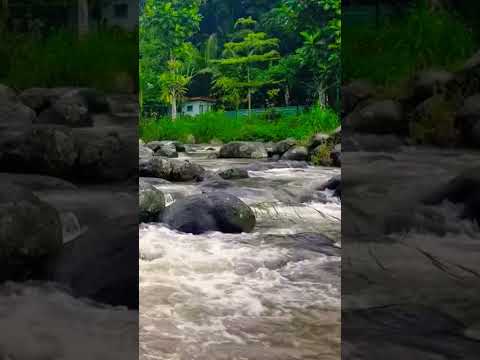 The sound of river water for healing #nature #riversounds #relaxing #soothingsound #shorts #asmr