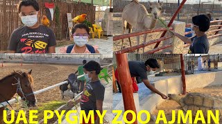 UAE Pygmy Zoo | Kids Friendly Animal Zoo | Places To Visit In Ajman