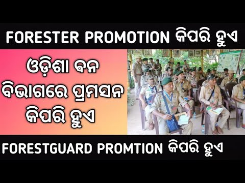 forester & forestguard promotion details!! promotion details odisha forest department