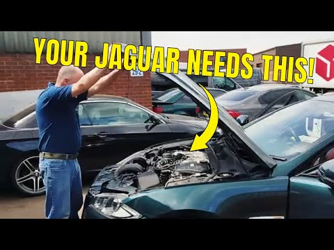 DO NOT Tune Your Jaguar... Without One Of These! | Wraptor Customs