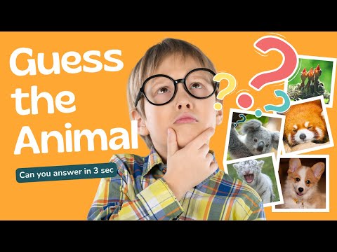 Want to Be an Animal Expert? Watch This Now!