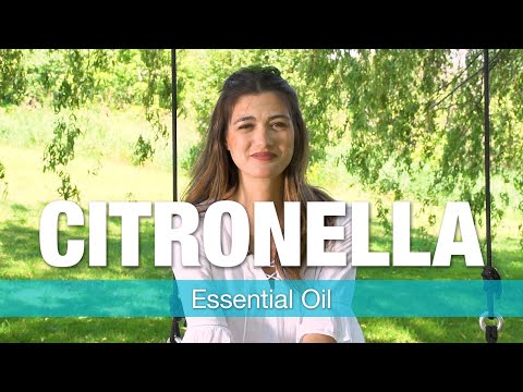 Aromapathic Labs Citronella Oil - Uses & Reviews by Essential Oil Specialist | National Nutrition