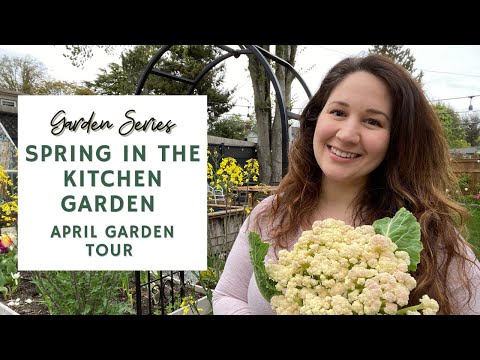 Spring in the Kitchen Garden - April Garden Tour 🌷🥬 | GARDEN SERIES