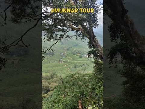 MUNNAR TOUR WITH FRIENDS @LPNVLOGS #LPNVLOGS #MUNNAR #MUNNARtour #MUNNARclimate