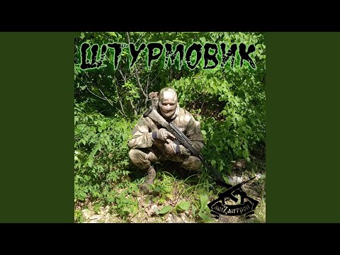 Штурмовик