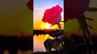 lovely Whatsapp status ♥️♥️ Whatsapp status 🥰🥰 best Panjabi status