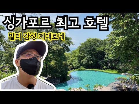 싱가포르 럭셔리 호텔 카펠라 호캉스 | 발리 감성 호텔 | 이민생활 | 싱가포르 호텔추천