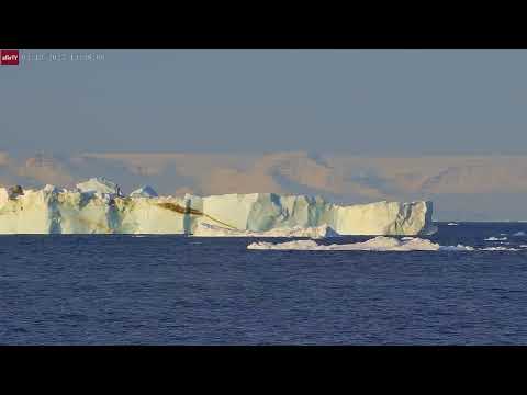 Feb 13, 2025: Large Iceberg Passes by the Iceberg Cam in Ilulissat, Greenland