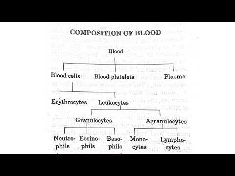 Composition of Blood || Blood Particles || Working of Blood ||  #biology #science