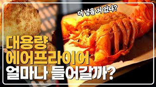 [구삼줍생]랍스터가 쏙 들어가는 아마존 핫템! 10L 대용량 에어프라이어 실사용후기🦞ㅣ오븐형에어프라이어 인스턴트 볼텍스 플러스ㅣ전기오븐 비교