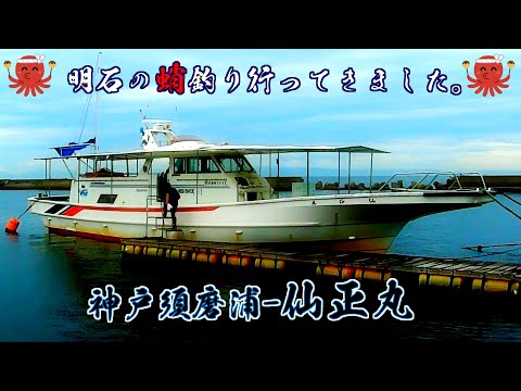 2023明石タコ釣り #仙正丸 #遊漁船 #須磨海岸