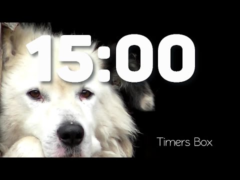 Focus with Fun! 15 Minute Dog Timer for Homework & School (No Music, Just Barks!) ⏰