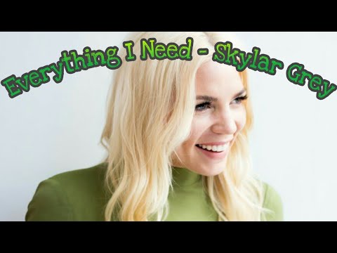 Skylar Grey - Everything I Need (Lyrics)