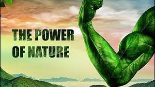 The Power Of Nature🌿🍃#nature #natureknowledge