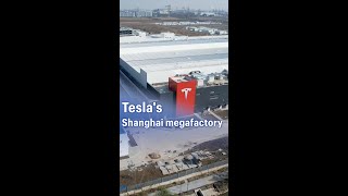 Tesla's Shanghai megafactory kicks off trial production