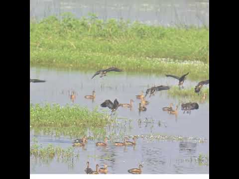 Sirpur Lake #upsc #aksias #iascoaching