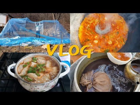 귀농 귀촌 브이로그 시골일상 : 비닐하우스, 약초물(ft. 떡만두국, 가마솥 떡볶이) VLOG,  Tteok-bokki, rice cake and dumpling soup