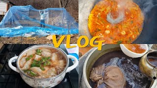 귀농 귀촌 브이로그 시골일상 : 비닐하우스, 약초물(ft. 떡만두국, 가마솥 떡볶이) VLOG,  Tteok-bokki, rice cake and dumpling soup