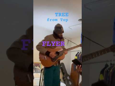 tree top flyer - stephen stills (cover)