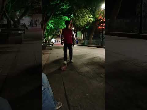 #Skating#Shorts#Cuit Boy Skater win Skating Race# Some Sick Skate Skills