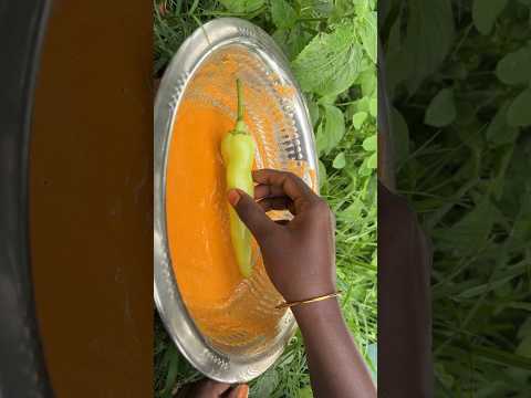 👩🏽‍🍳10 kg Mirchi Bajji Making || மிளகாய் பஜ்ஜி செய்முறை #shorts