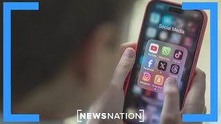 TikTok users migrate to RedNote, Lemon8 as ban deadline nears | Morning in America