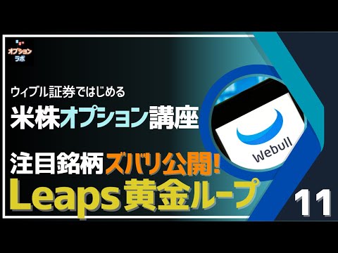 【米株オプション基礎講座】B11 注目銘柄を使って1年間のLeaps黄金ループをじっくり解説！