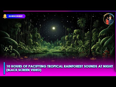 Enjoy 10 Hours Of Pacifying Tropical Rainforest Sounds For Sleep At Night (Black Screen Video)