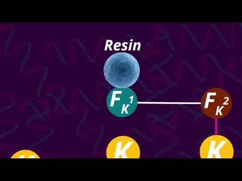 Linchpin directed modification: A novel technology for precision labelling of proteins