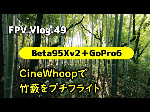 FPV Vlog.49 竹藪をCinewhoopでフライト