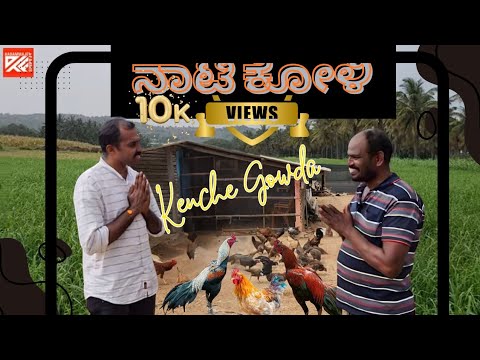 ಕೆಂಚೇ ಗೌಡರ ನಾಟಿ ಕೋಳಿ ಪ್ರಪಂಚದಲ್ಲಿ | ಹಾಸನ, ಚಿಕ್ಕಮಂಗಳೂರು ಜಿಲ್ಲೆಯ ರೈತರಿಗೆ ಮಾದರಿ #ನಾಟಿಚಿಕನ್ #natichicken