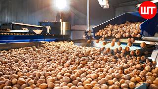 How Walnuts Is Made | Walnut Processing Factory