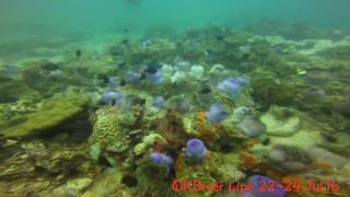 OKdiver (As long as we are ok) Lipe 22~24 Jul 2016