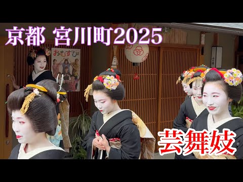 2025年1月5日 華やかな芸舞妓さんたちで賑わう新年の宮川町を歩く Walking around Miyagawacho in the New Year 【4K】