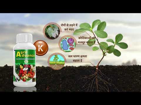 Agro Advance Nanotech Growth Promoter benefits uses|brightfuture|fastestgrowingsystem