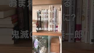 本好きさんの日常／似てるらしい #本が好き #読書 #本棚