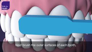 How to Brush Your Teeth Animation MCM