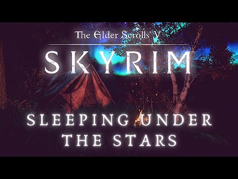 Skyrim SE 4K Ambience & Atmosphere | Sleeping Under The Stars | Ambient Fire, Wind, & Birds [1 Hr]